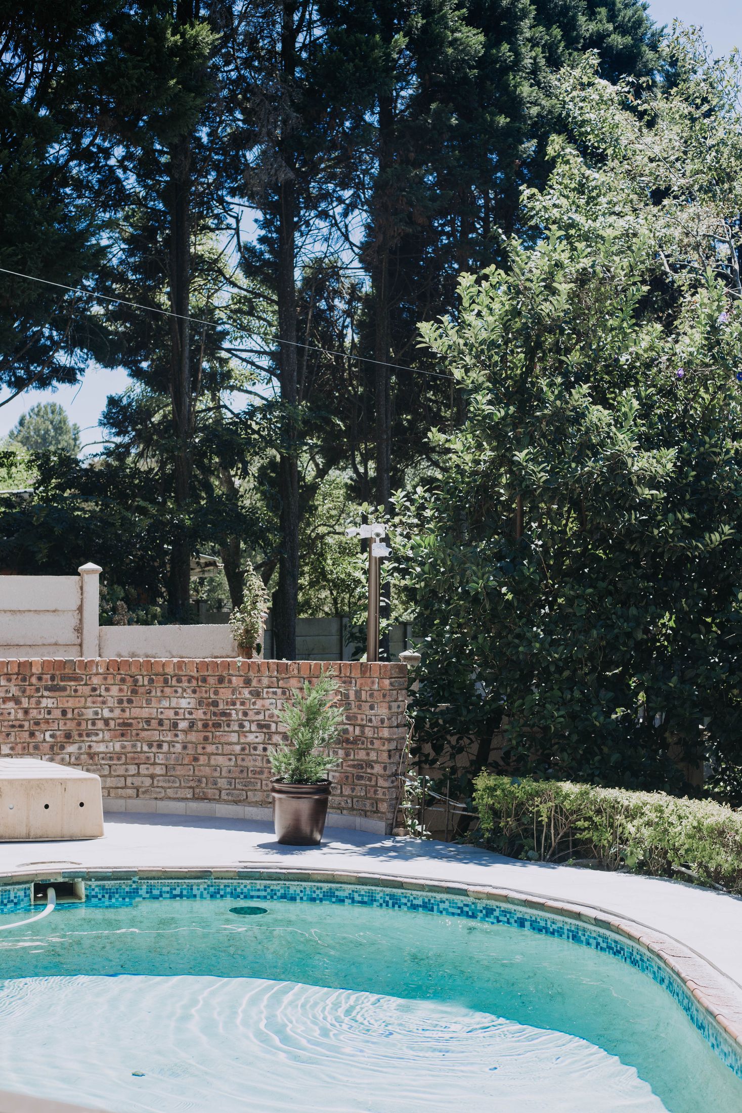 The pool in the garden, under tall trees