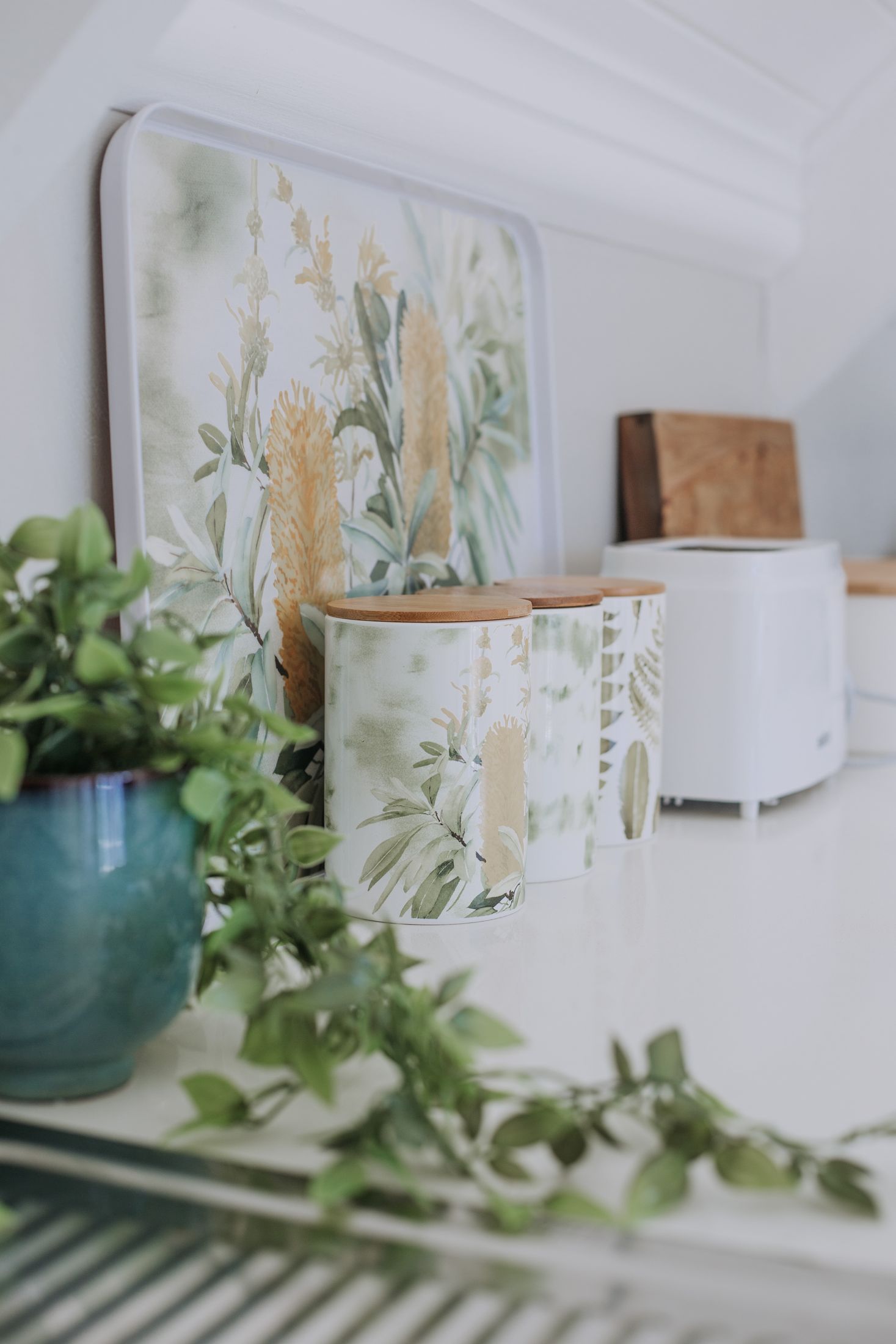 Botanical canisters and a plant on the loft counter