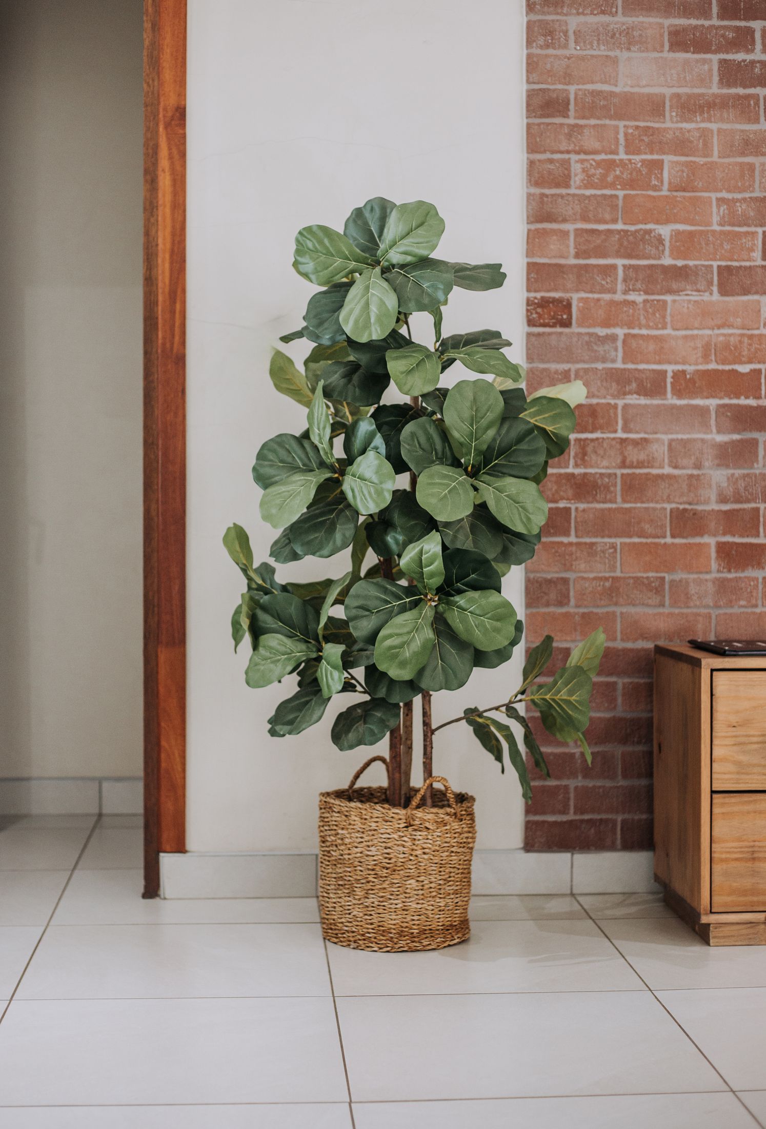 A fiddle leaf fig in a woven basket beside the brick wall
