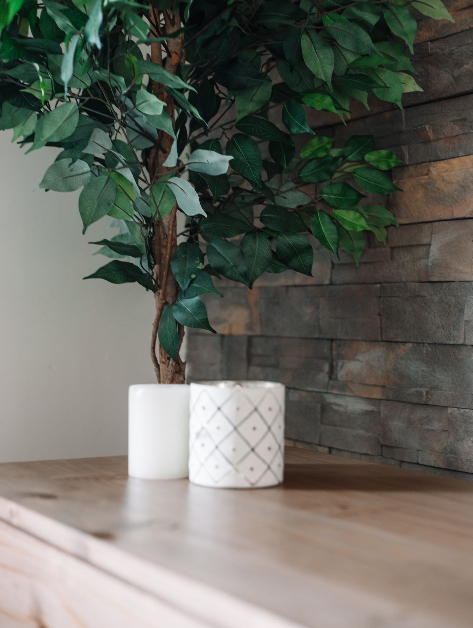 Two candles and a plant on a timber cabinet
