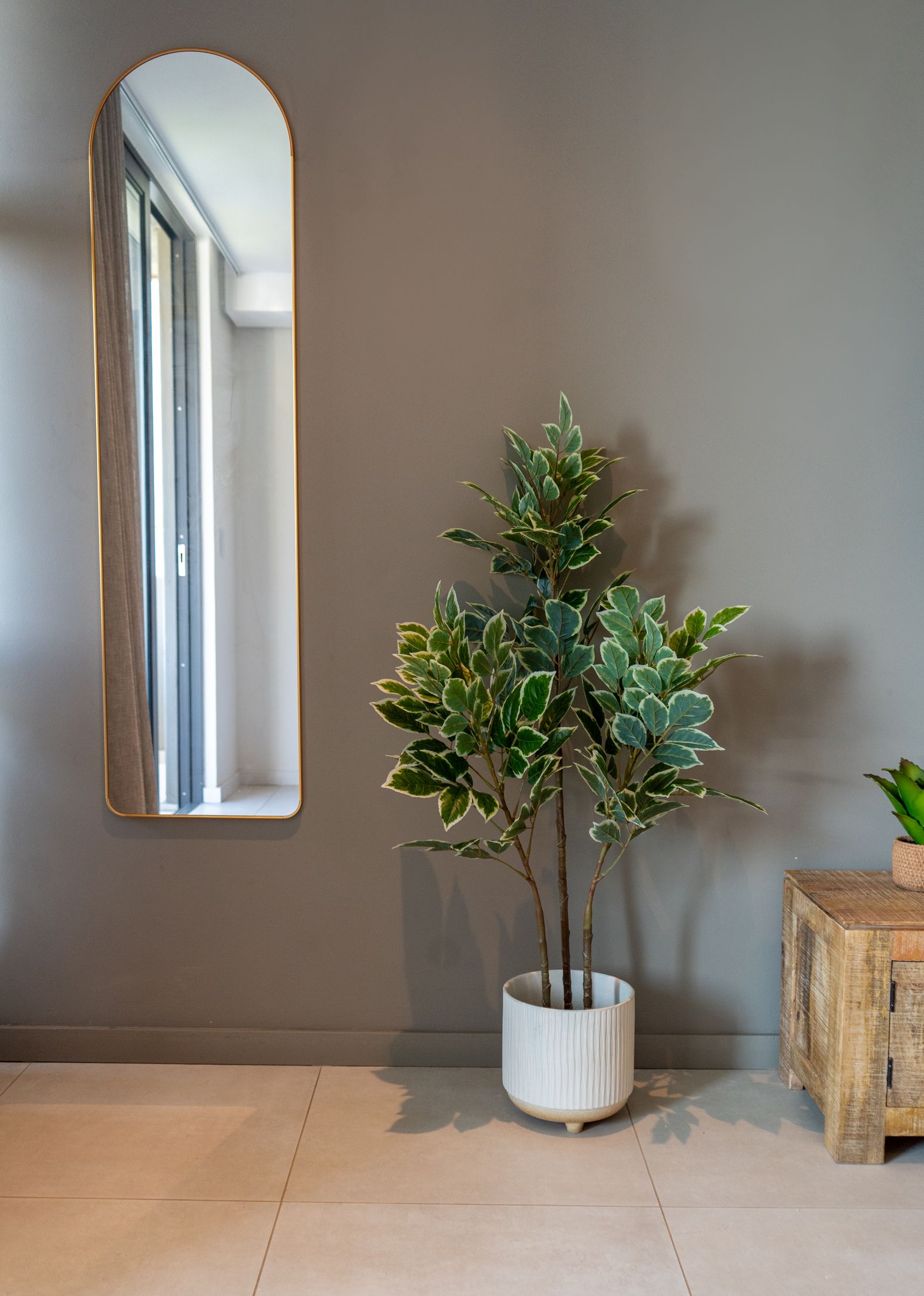 A tall arched mirror and a potted plant against a grey wall